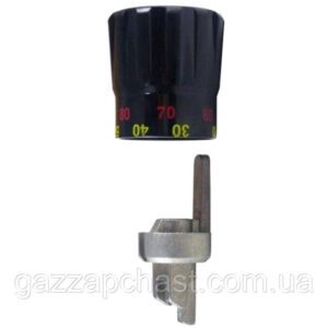 Ручка і поршень для регулятора тяги Regulus RT4 (13876)